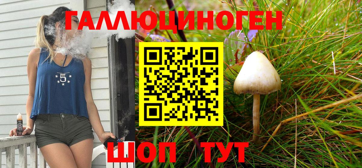 Псилоцибиновые грибы мицелий Новосибирск