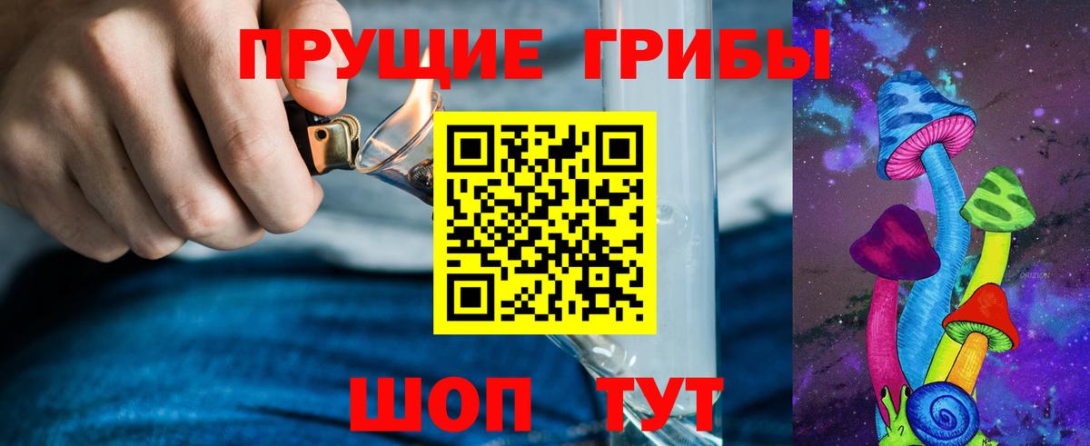 Новосибирск  Галлюциногенные грибы прущие грибы  Вход с VPN 